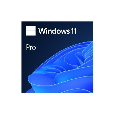 windows 11 pro 64